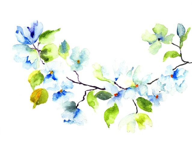 Blossoming tree branch, watercolor illustration